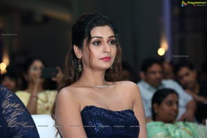 Payal Rajput at Dadasaheb Phalke Awards South 2019