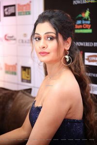 Payal Rajput at Dadasaheb Phalke Awards South 2019