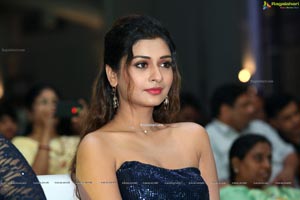 Payal Rajput at Dadasaheb Phalke Awards South 2019