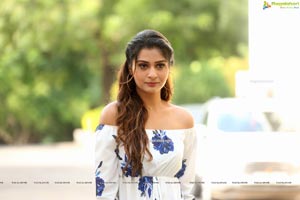 Payal Rajput at RDX Love Trailer Launch