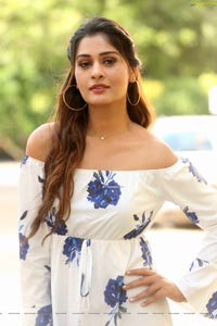 Payal Rajput at RDX Love Trailer Launch