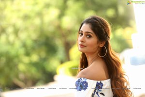 Payal Rajput at RDX Love Trailer Launch