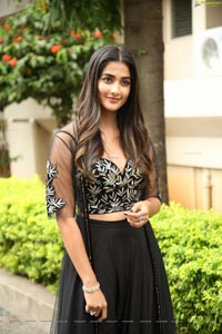 Pooja Hegde at Valmiki Press Meet