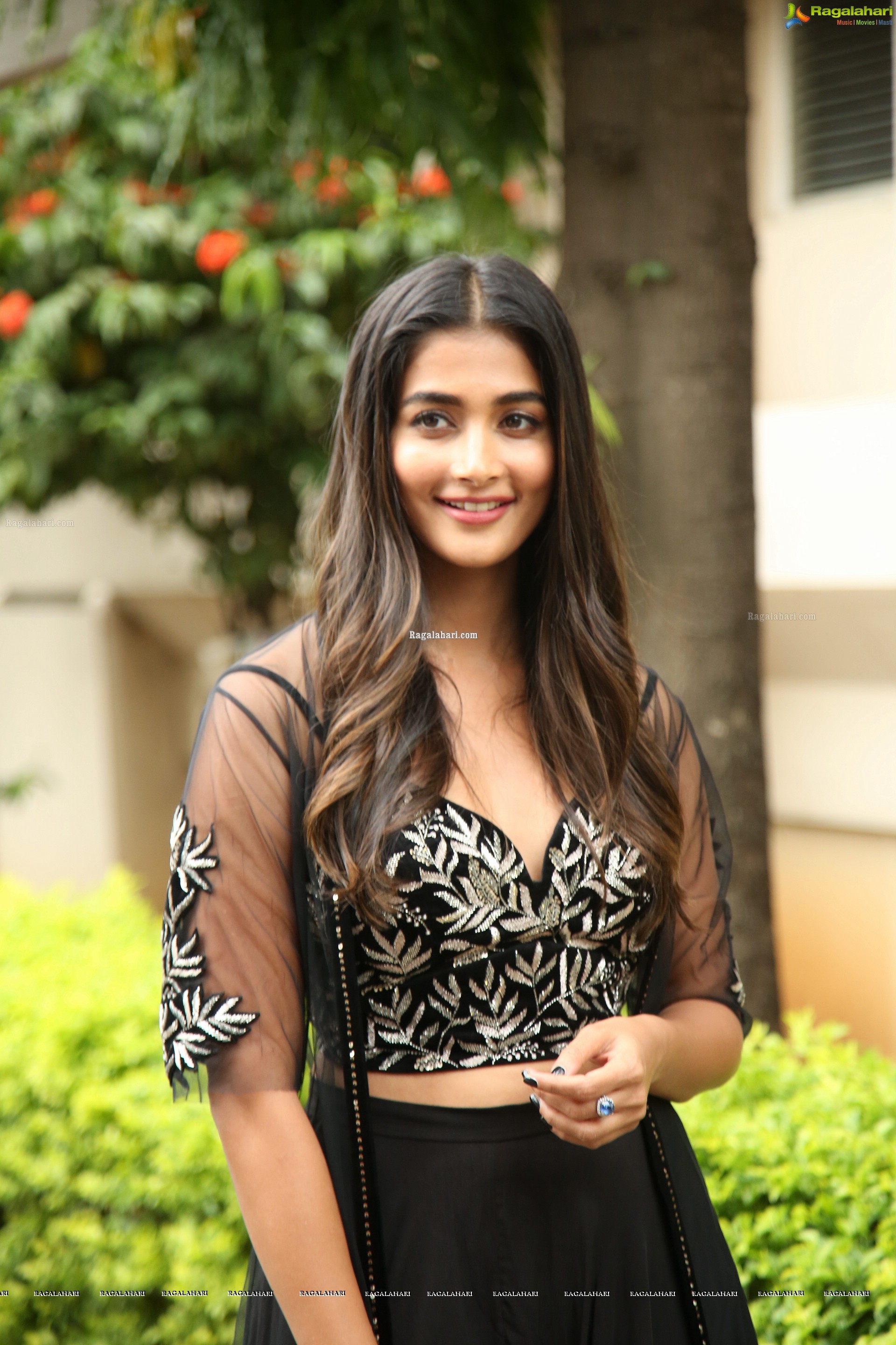 Pooja Hegde at Valmiki Press Meet - HD Gallery