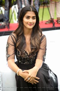 Pooja Hegde at Valmiki Press Meet