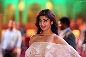 Pranitha Subhash at SIIMA 2019