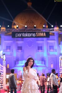 Pranitha Subhash at SIIMA 2019