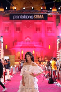 Pranitha Subhash at SIIMA 2019