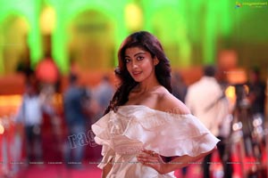 Pranitha Subhash at SIIMA 2019