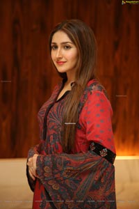 Sayyeshaa Saigal Stills at Bandobast Pre-Release Event