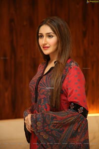 Sayyeshaa Saigal Stills at Bandobast Pre-Release Event