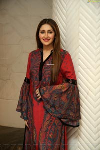 Sayyeshaa Saigal Stills at Bandobast Pre-Release Event