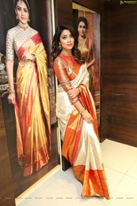 Shriya Saran at VRK Silks Chandanagar Showroom Launch