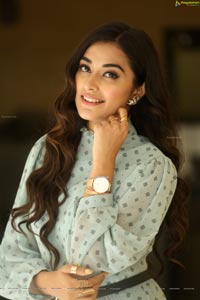 Stefy Patel at Ninnu Thalachi Press Meet