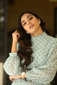 Stefy Patel at Ninnu Thalachi Press Meet