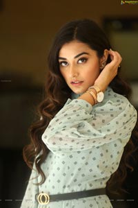 Stefy Patel at Ninnu Thalachi Press Meet