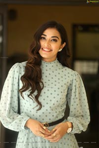 Stefy Patel at Ninnu Thalachi Press Meet