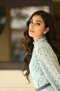 Stefy Patel at Ninnu Thalachi Press Meet