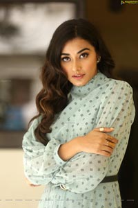 Stefy Patel at Ninnu Thalachi Press Meet