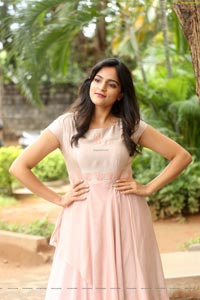 Sukrutha Wagle at Rama Sakkani Seetha Trailer Launch