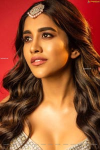 Nabha Natesh Latest Photoshoot Images