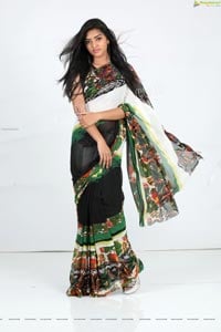 Heena Farheen in Printed Chiffon Saree