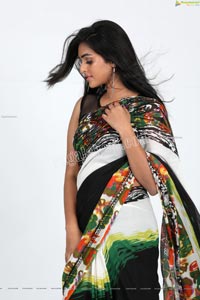 Heena Farheen in Printed Chiffon Saree