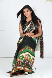 Heena Farheen in Printed Chiffon Saree