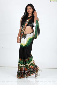 Heena Farheen in Printed Chiffon Saree