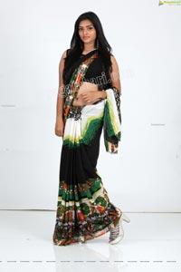 Heena Farheen in Printed Chiffon Saree