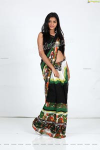 Heena Farheen in Printed Chiffon Saree