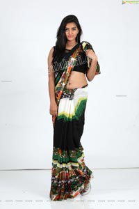 Heena Farheen in Printed Chiffon Saree