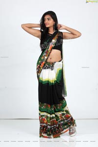 Heena Farheen in Printed Chiffon Saree