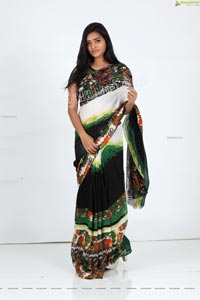 Heena Farheen in Printed Chiffon Saree