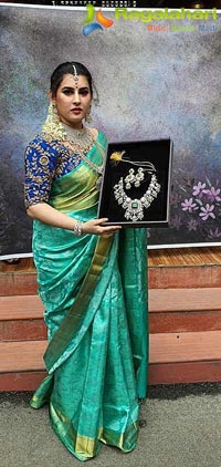 Archana Shastry In Silk Saree