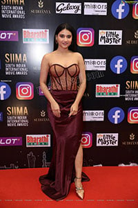 Priya Singh at SIIMA Awards 2021 Day 2