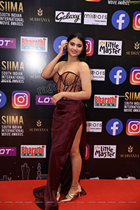 Priya Singh at SIIMA Awards 2021 Day 2