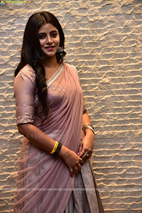 Sanchita Bashu at First Day First Show Pre-Release Event