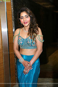 Mitraaw Sharma at Mega Movie Teaser Launch, HD Photo Gallery