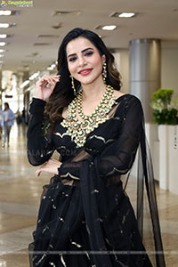 Ashu Reddy Poses with Traditional Jewellery, HD Gallery