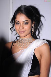 Bindu Madhavi