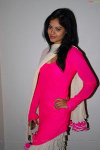 Bindu Madhavi at Pilla Zamindar Audio Release