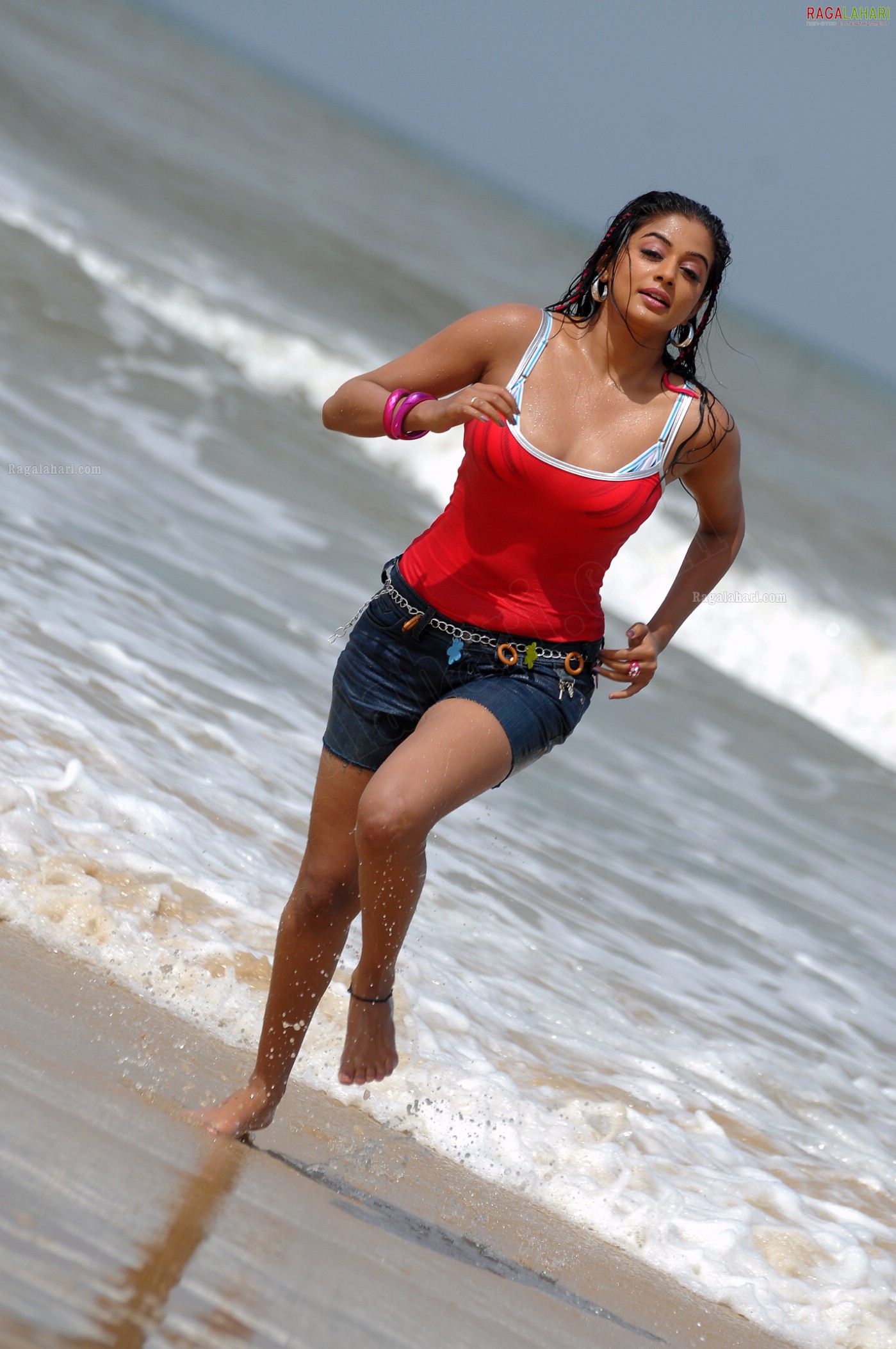 Priyamani in Beach Costumes, Photo Gallery