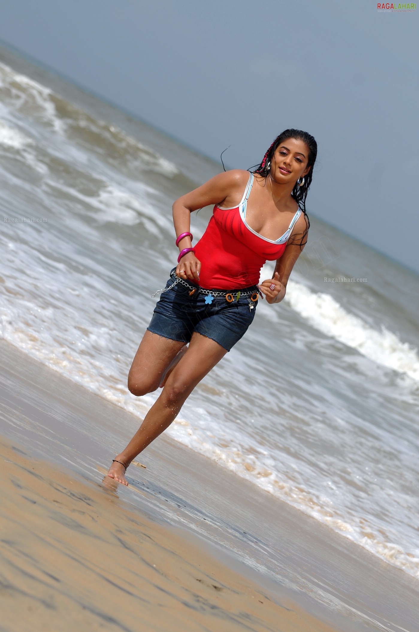 Priyamani in Beach Costumes, Photo Gallery