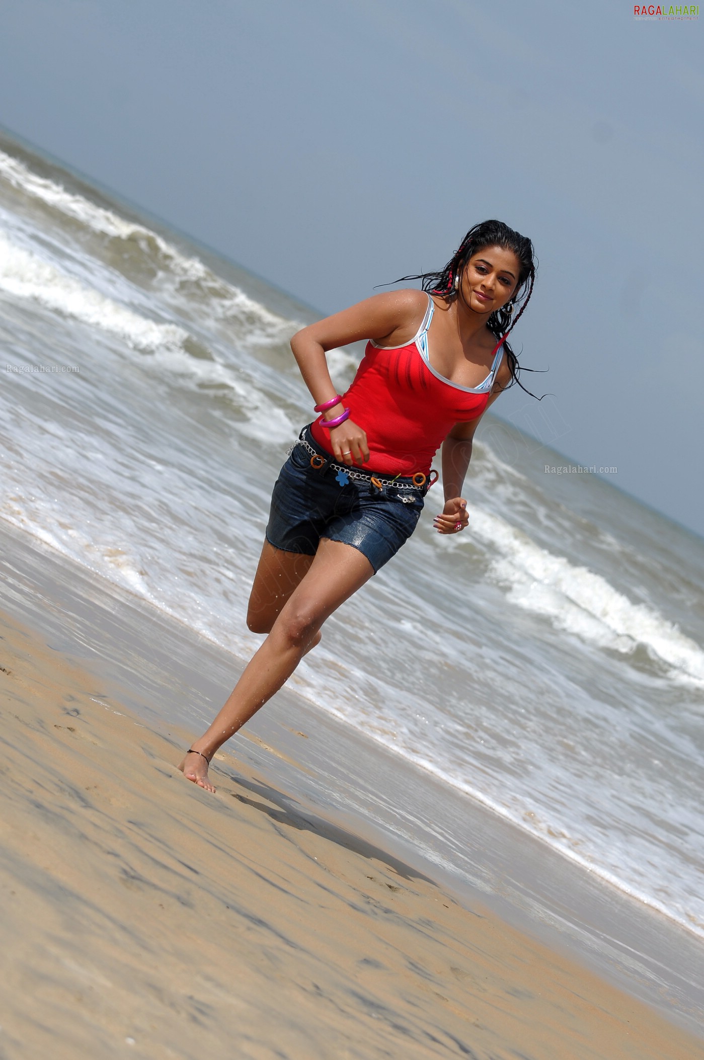 Priyamani in Beach Costumes, Photo Gallery