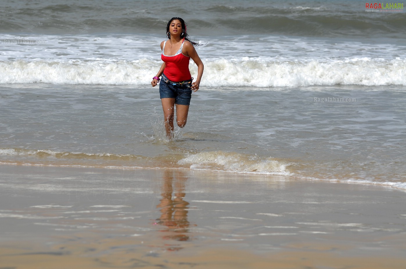 Priyamani in Beach Costumes, Photo Gallery