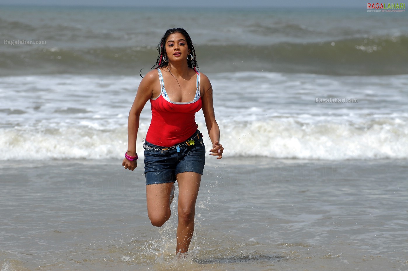 Priyamani in Beach Costumes, Photo Gallery