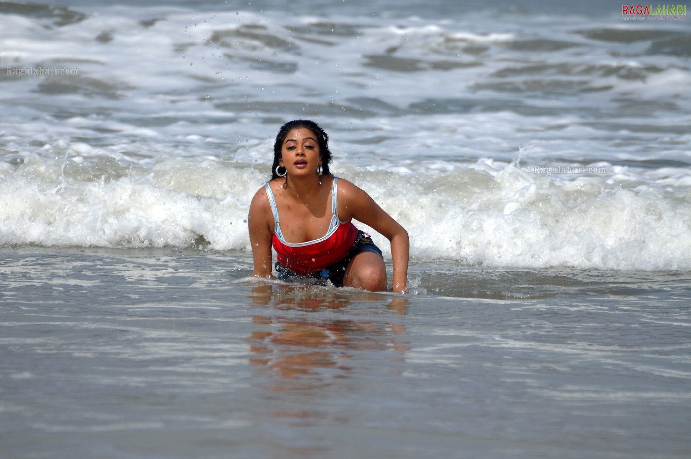 Priyamani in Beach Costumes, Photo Gallery