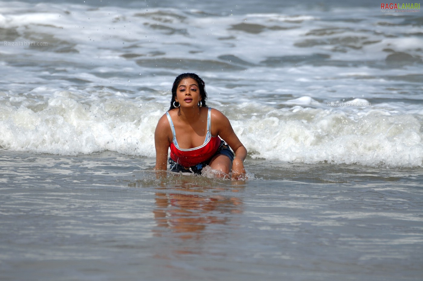 Priyamani in Beach Costumes, Photo Gallery