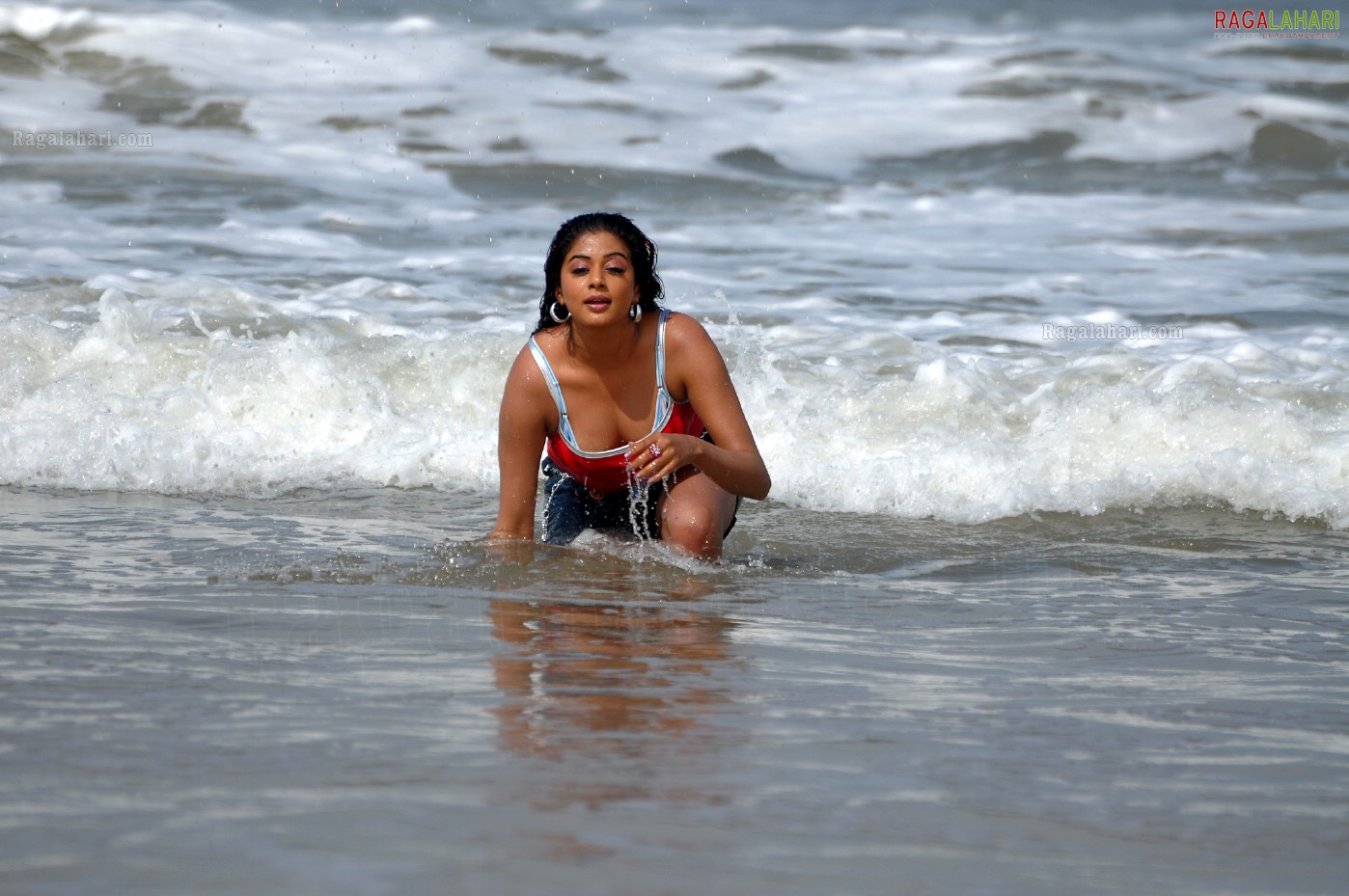 Priyamani in Beach Costumes, Photo Gallery